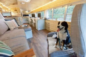 Tiny Homes: Bus Version